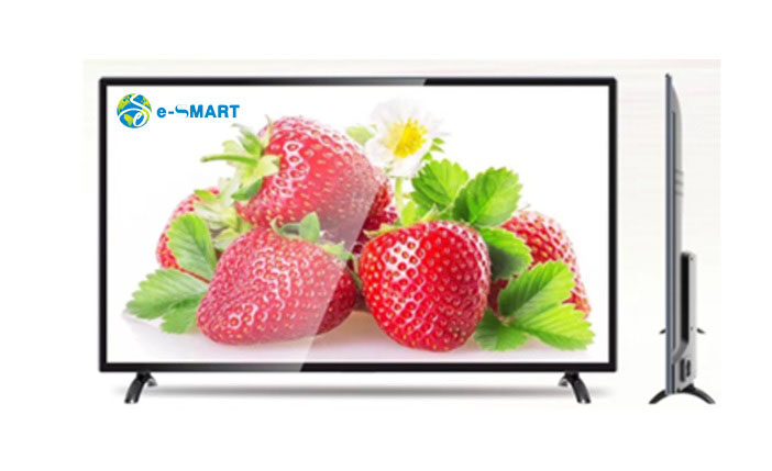 Màn hình tivi cường lực 65 inch e-Smart GR5065AD12BL